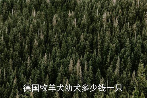 在河南狗市買一只德牧要多少錢,買一只德國牧羊犬要多少錢