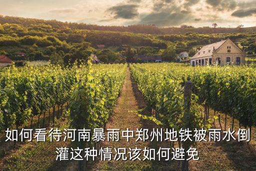 如何看待河南暴雨中鄭州地鐵被雨水倒灌這種情況該如何避免