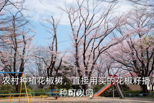 農(nóng)村種植花椒樹，直接用買的花椒籽播種可以嗎