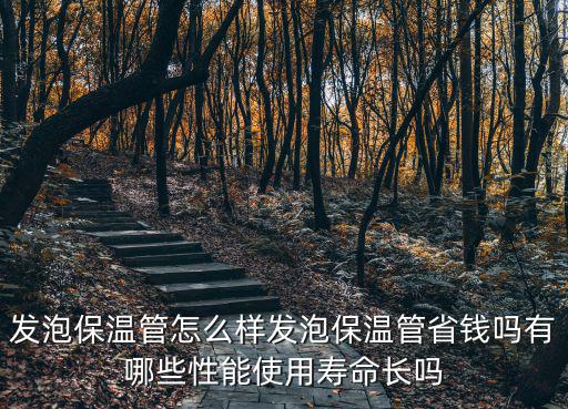 衡水鋼套鋼發泡保溫管多少錢,發泡保溫管怎么樣