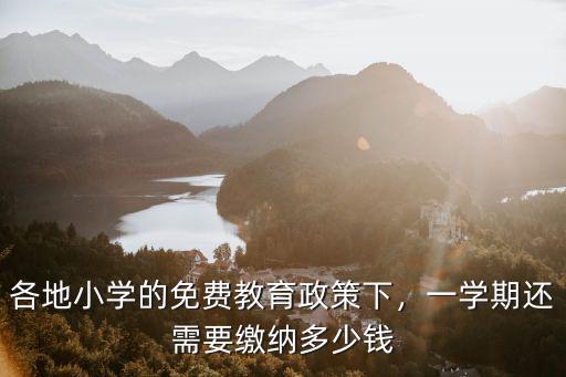 宣城小學學費是多少錢,現在上小學一年級要交多少錢