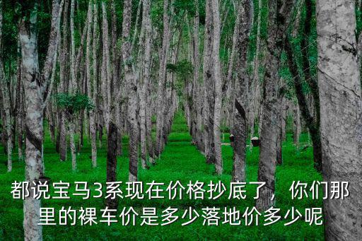 石家莊裸車價落地價多少,落地價多少呢