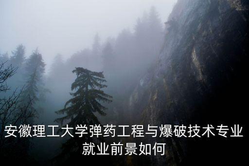 安徽理工大學(xué)彈藥工程與爆破技術(shù)專業(yè)就業(yè)前景如何