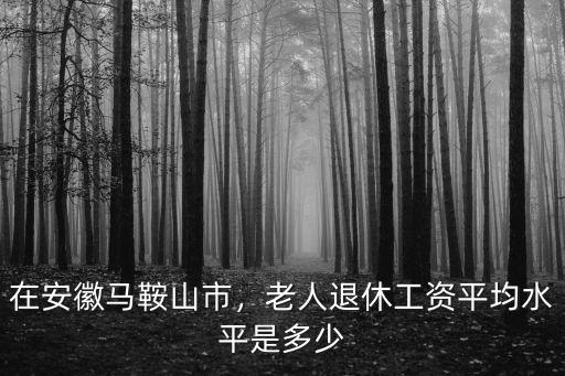 安徽馬鞍山基礎工資多少,老人退休工資平均水平是多少