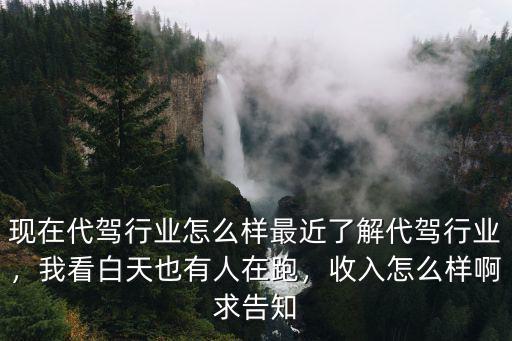 襄陽跑代駕收入怎么樣,收入怎么樣啊