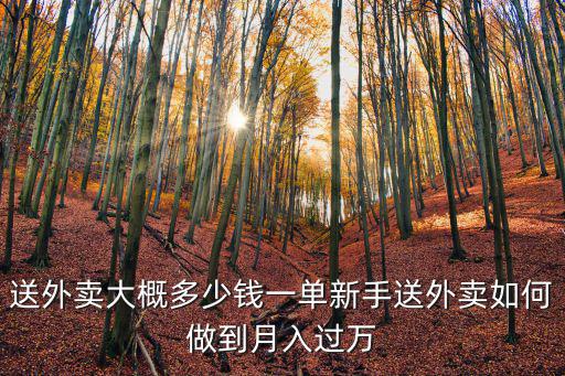 六安外賣一單多少,新手送外賣如何做到月入過萬