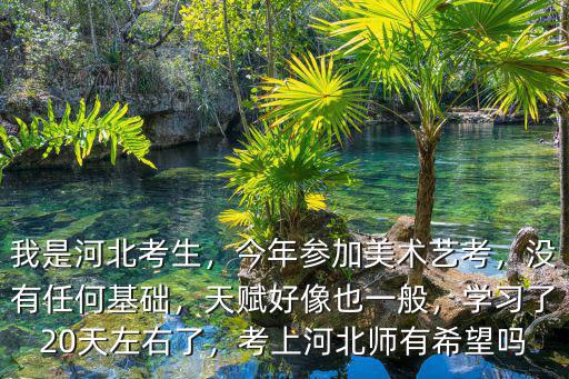 河北美術(shù)生考河北師范要多少分,我是河北考生