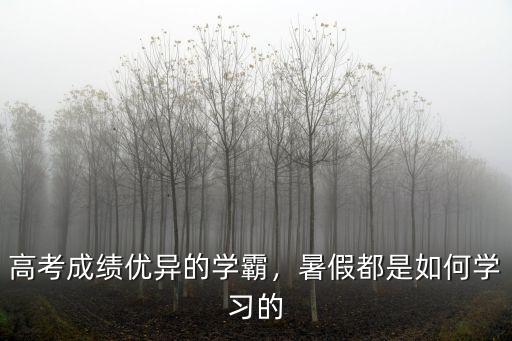 高考成績優異的學霸，暑假都是如何學習的