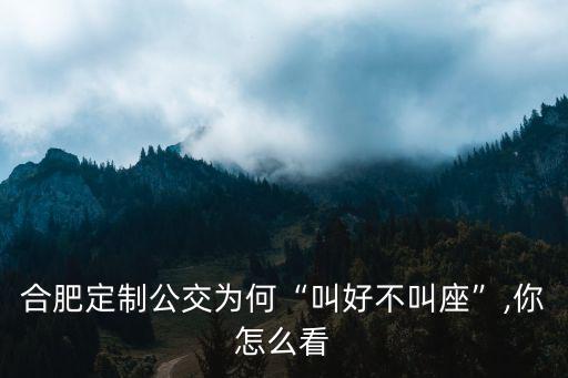 合肥定制公交多少條,合肥定制公交叫好不叫座