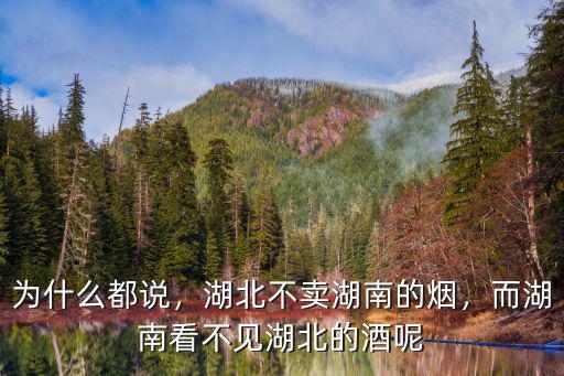 湖北傻逼怎么說,你們家鄉話傻子怎么說