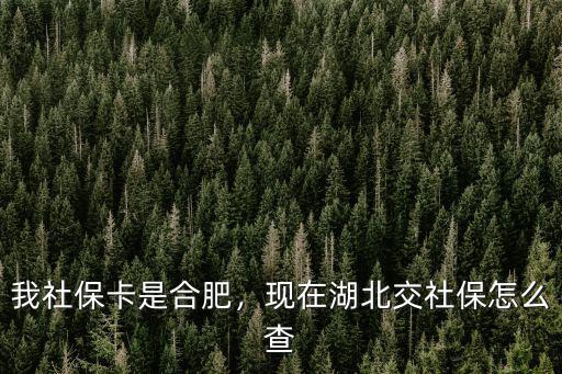 湖北省怎么查詢社保卡,現在湖北交社保怎么查