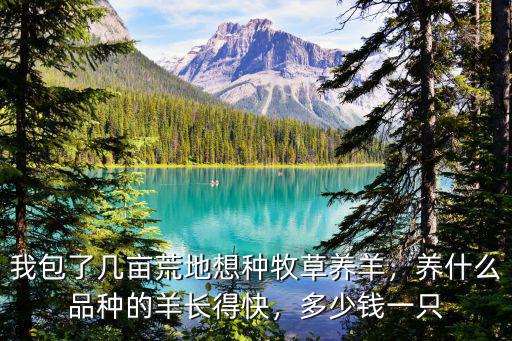 我包了幾畝荒地想種牧草養羊，養什么品種的羊長得快，多少錢一只