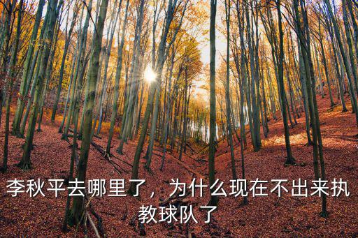 荊州李秋平現在怎么了,李秋平去哪里了