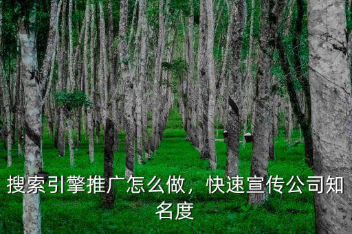 搜索引擎推廣怎么做，快速宣傳公司知名度