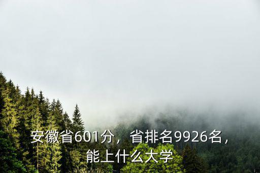 高考660分在安徽省排名多少位,安徽省601分