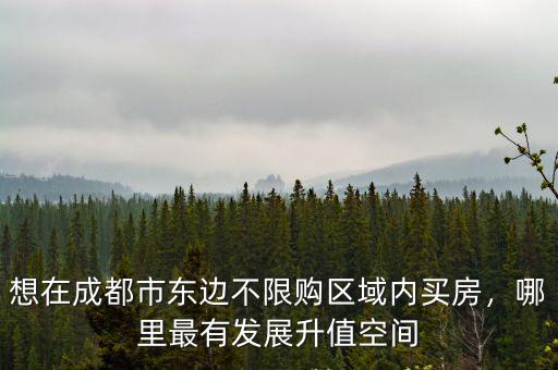 想在成都市東邊不限購區域內買房，哪里最有發展升值空間