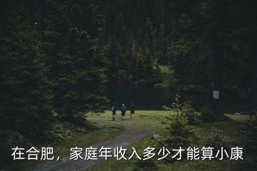 在合肥，家庭年收入多少才能算小康
