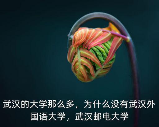 武漢的大學那么多，為什么沒有武漢外國語大學，武漢郵電大學