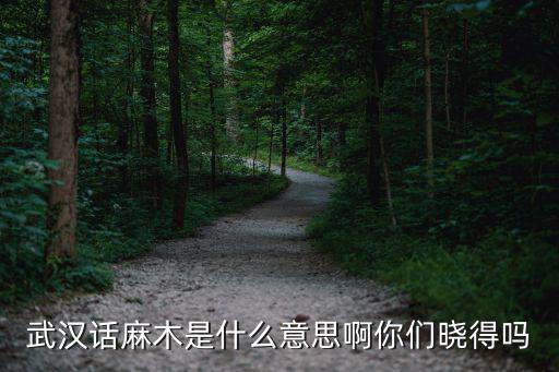 武漢話慢死了怎么說,武漢人究竟說的是什么話