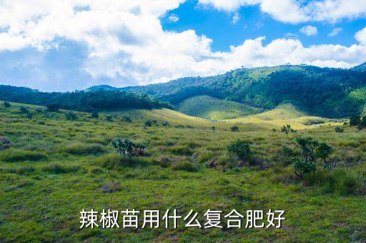 一棵辣椒苗要多少復合肥,辣椒苗用什么復合肥好