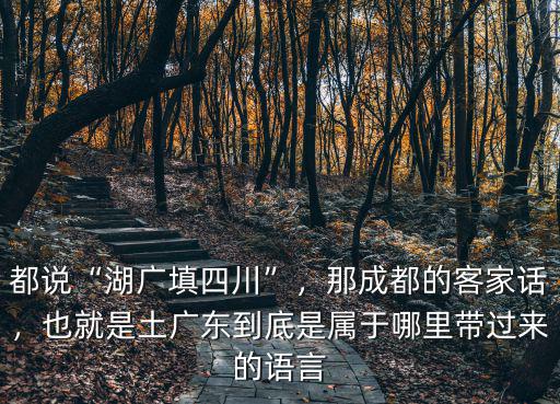 都說“湖廣填四川”，那成都的客家話，也就是土廣東到底是屬于哪里帶過來的語言