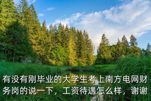 湖北國家電網會計的工資待遇怎么樣,工資待遇怎么樣