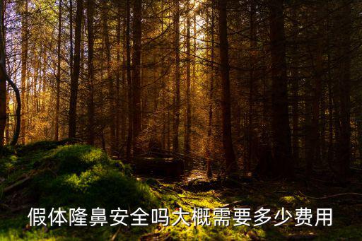 假體隆鼻多少錢來?石家莊美萊,假體隆鼻安全嗎