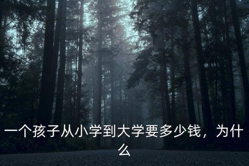 一個孩子從小學到大學要多少錢，為什么