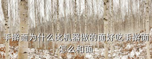 信陽哪里手搟面好吃,手搟面怎么和面