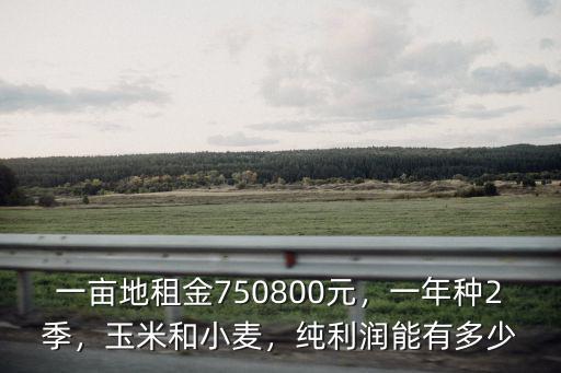 河北種姜一畝地有多少利潤,一畝地租金750