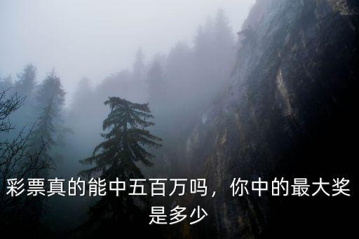 六安彩票中最大獎獎金是多少,你中的最大獎是多少