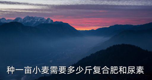 復(fù)合肥一畝小麥地追肥多少合適,小麥澆水前撒肥料效果好不好