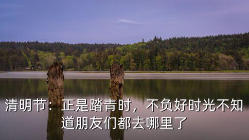 清明節：正是踏青時，不負好時光不知道朋友們都去哪里了