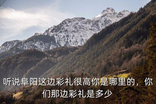 聽說阜陽這邊彩禮很高你是哪里的，你們那邊彩禮是多少