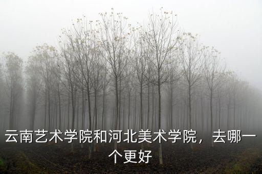 21年河北美術學院專升本招多少人,河北美術學院怎么樣