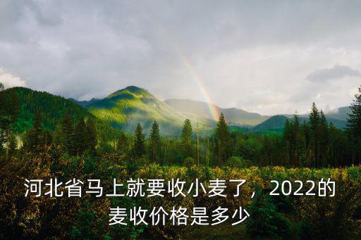 河北省馬上就要收小麥了，2022的麥?zhǔn)諆r(jià)格是多少