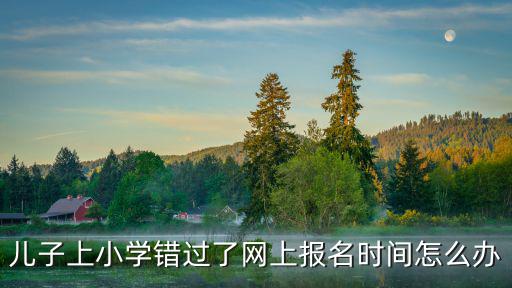 兒子上小學錯過了網上報名時間怎么辦