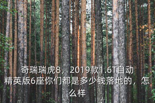 奇瑞瑞虎8，2019款1.6T自動精英版6座你們都是多少錢落地的，怎么樣