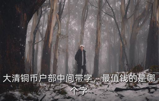 鄭州哪里有堅定大清銅幣戶部,大清銅幣戶部中間帶字