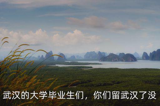 武漢的大學畢業生們，你們留武漢了沒