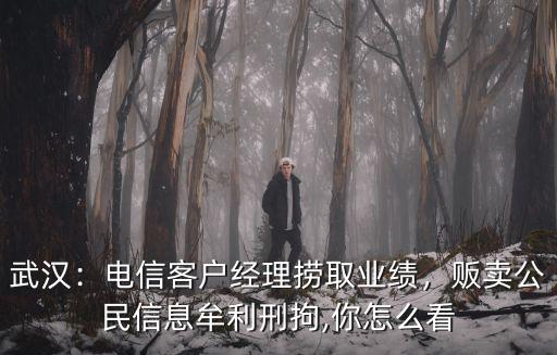 武漢：電信客戶經理撈取業績，販賣公民信息牟利刑拘,你怎么看