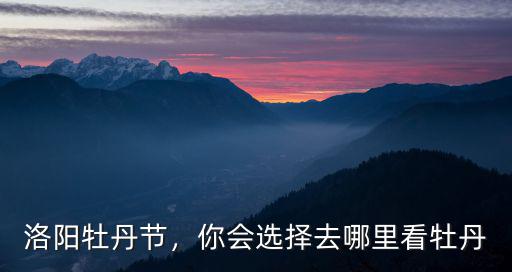 洛陽哪里觀花最好,你會選擇去哪里看牡丹