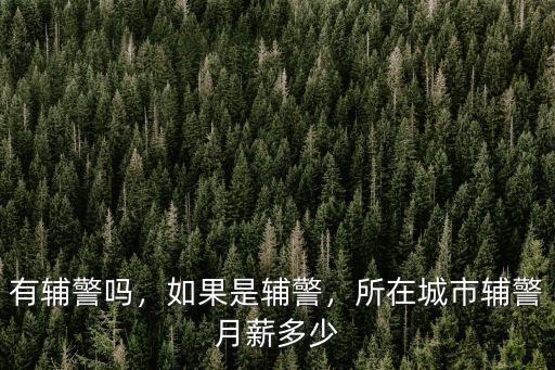 有輔警嗎，如果是輔警，所在城市輔警月薪多少