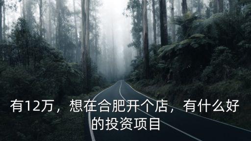 有12萬(wàn)，想在合肥開(kāi)個(gè)店，有什么好的投資項(xiàng)目