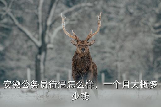阜陽太和公務(wù)員一個(gè)月多少錢,一個(gè)月大概多少錢