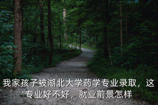 我家孩子被湖北大學藥學專業錄取，這專業好不好，就業前景怎樣