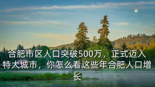 合肥人口每年增加多少,合肥每年能增加多少人口