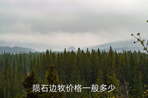 淮南牧羊犬的價格多少,隕石邊牧價格一般多少