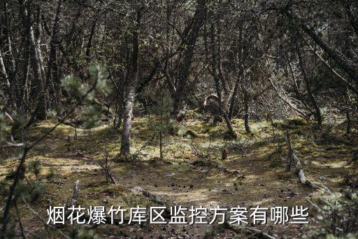 六安有多少家煙花爆竹企業0,煙花爆竹庫區監控方案有哪些