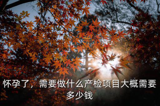 懷孕了，需要做什么產檢項目大概需要多少錢